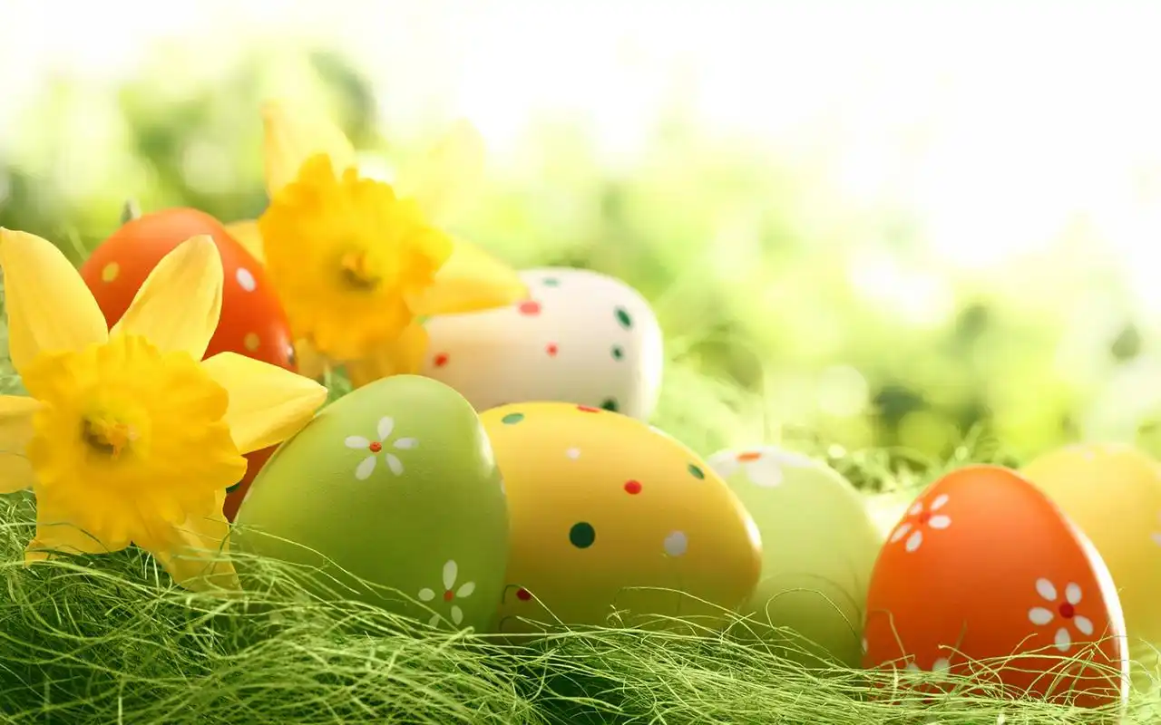 小清新创意护眼高清桌面壁纸高清大图预览1920x1080_风景壁纸下载_美