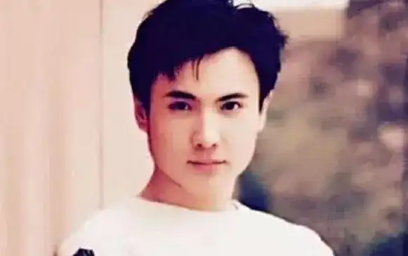 的欢声笑语,大家应该都是比较喜欢沈腾的,不过沈腾年轻是确实挺帅的