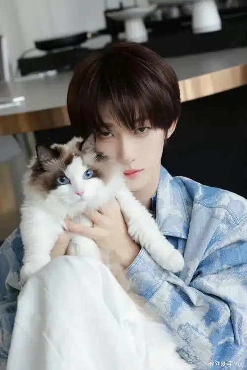 刘宇抱猫照