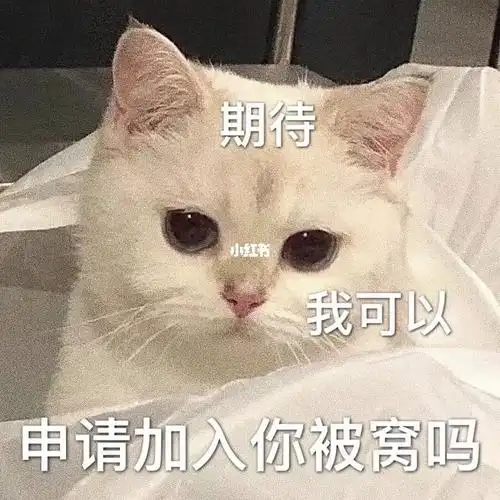 情侣表情包猫猫好想你呀包被