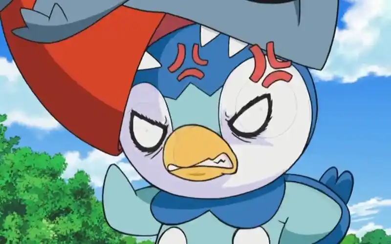 小智收服过的所有地面系神奇宝贝,最后一只应该是其中最稀有的了_哔哩