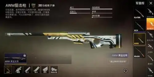 和平精英:awm经典皮肤大盘点,最后一款土豪必买