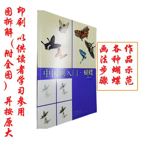 中国画入门蝴蝶百蝶图工笔重彩基础入门初学勾线上色技法多图详解