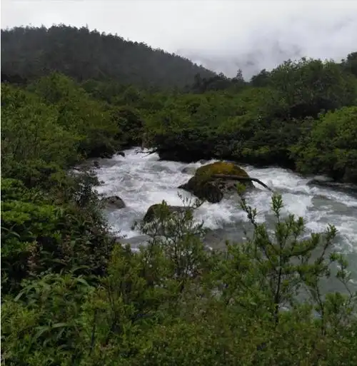 p data-id="gnwg47q3yk">多雄拉河:是墨脱县西部的河,发源于 a