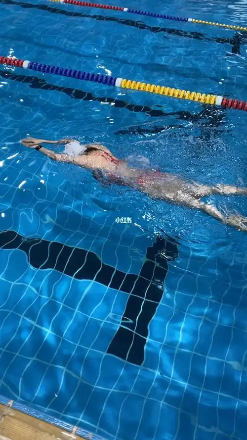 自由泳打腿练习第n天
