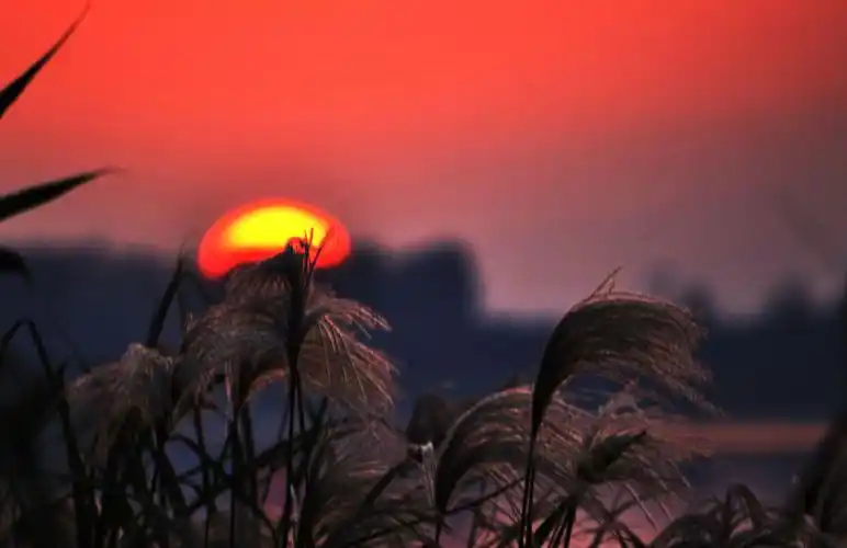 夕阳晚霞,大美河西.