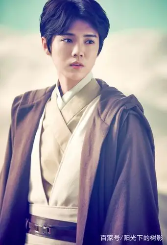 鹿晗有多帅?看完这组古装照,网友:不忍了,我粉定他了!