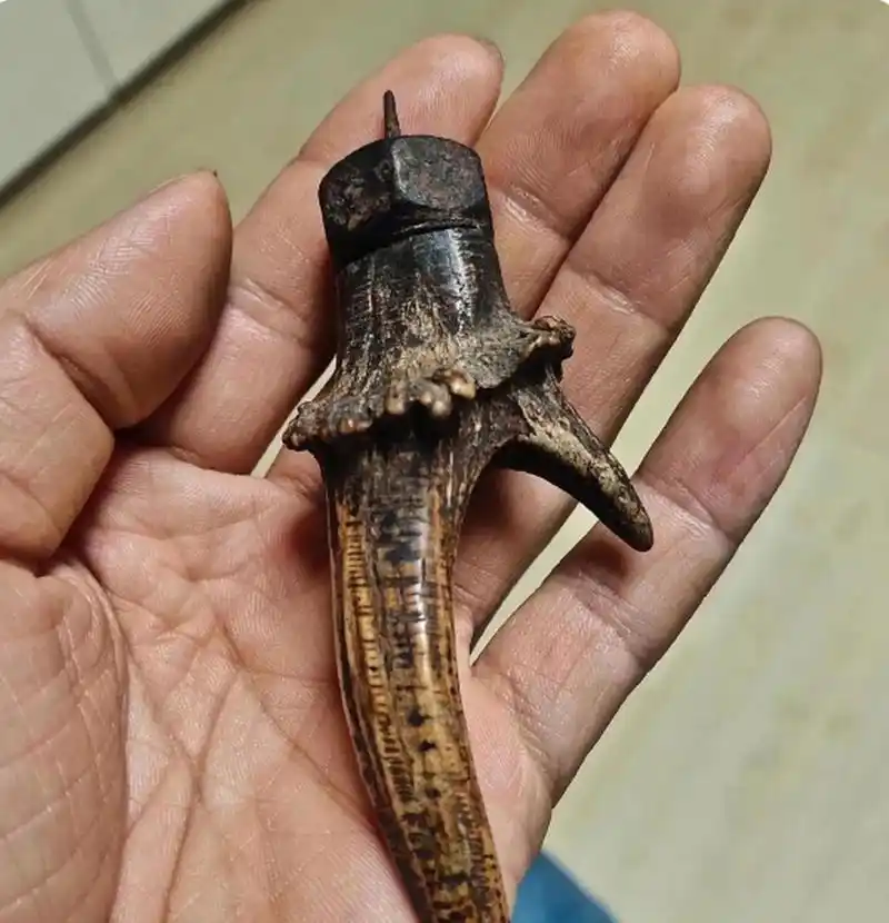 朋友送给我的,说这个是老虎牙,有没有认识的朋友给鉴定一下?