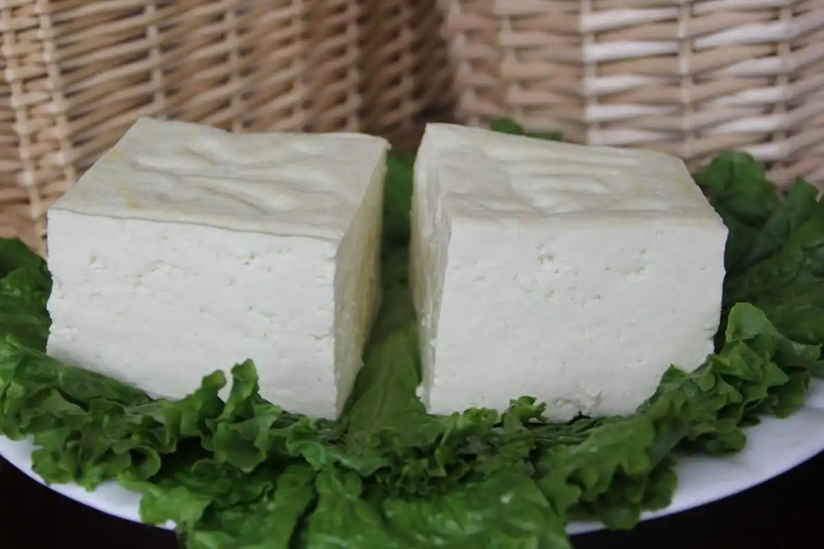 大豆腐图片_3