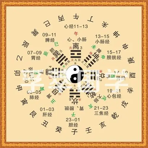 现代装饰画周易易经后天八卦十二时辰人体经络对应图中医五行镇宅