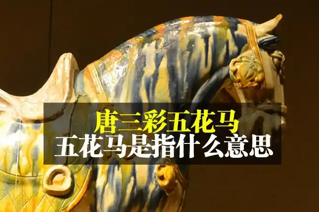 唐三彩五花马五花马是指什么意思