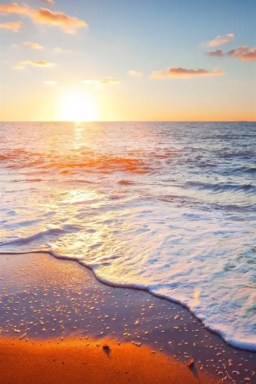 640_960竖版 竖屏