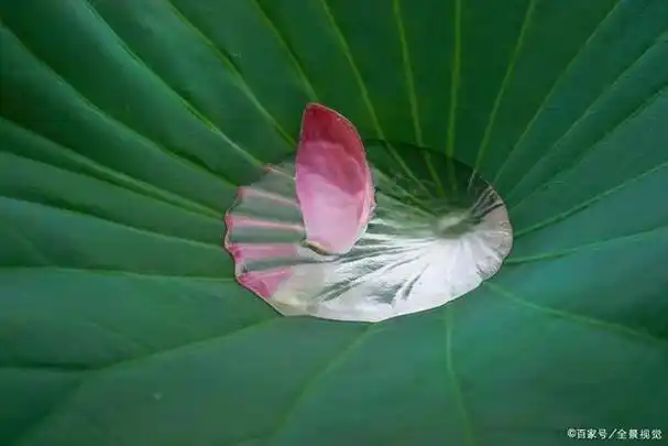 修行,先修心;渡人,先渡己