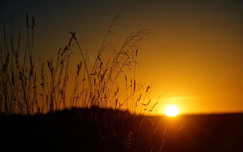 温暖唯美的阳光美景桌面壁纸
