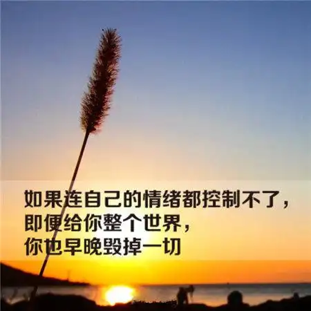 有哲理的文字图片