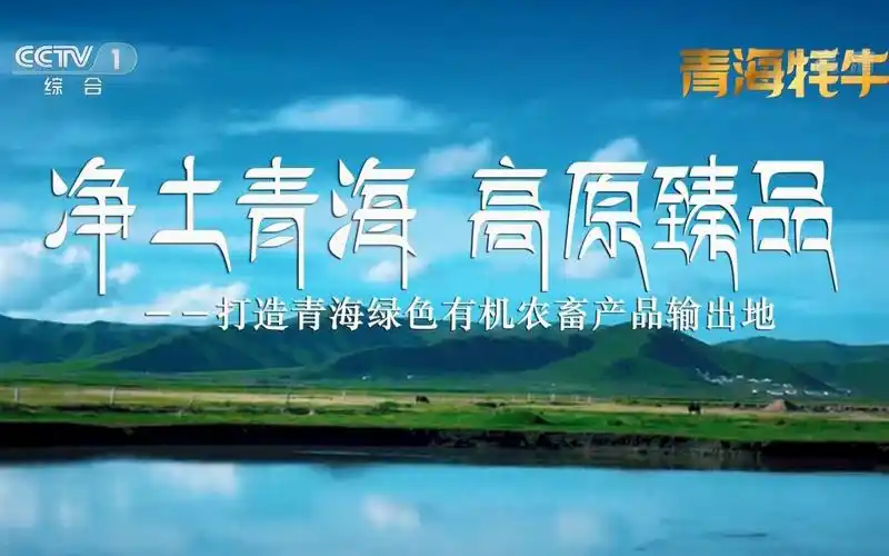 cctv1广告:净土青海 高原臻品·青海牦牛96_哔哩哔哩_bilibili