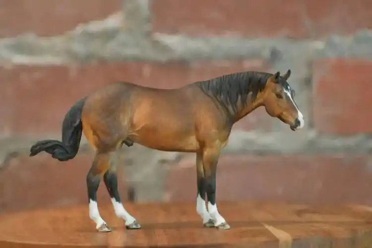 世界上最小的马,可以放在手掌上撸_levi_作品_方法