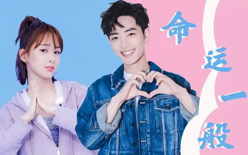 肖战杨紫命运一般笔芯比心合集