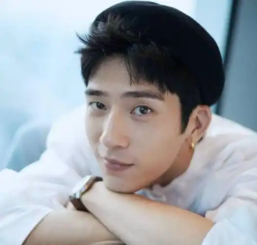 原创井柏然刘雯被祝福吸金力双强看两人资产才知什么叫配