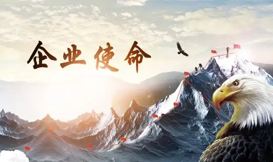 使命感 / 价值观 / 企业愿景