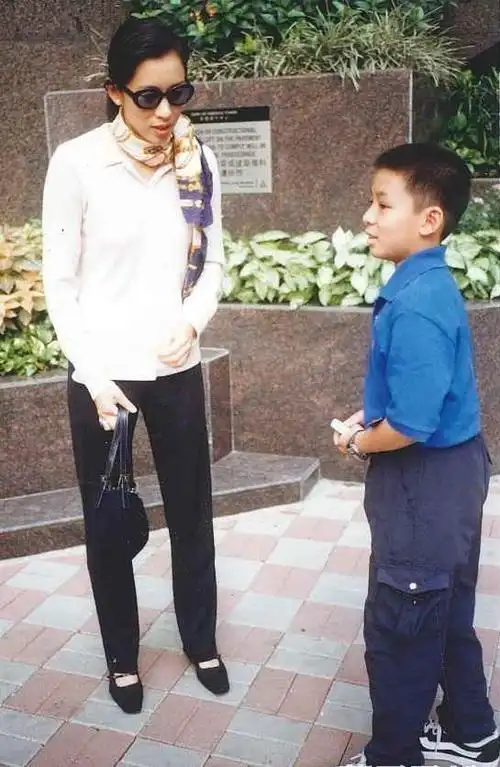 朱玲玲仍会义不容辞地与霍震霆"恩爱出场",与三个儿子和丈夫组成"幸福