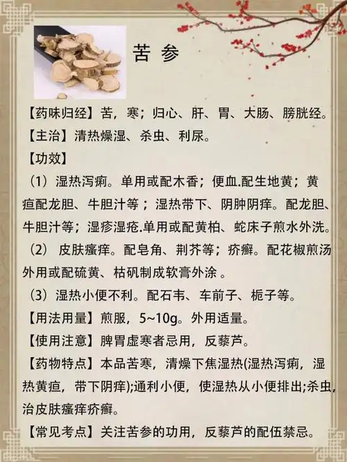 苦参具有清热燥湿,杀虫利尿等功效#中医  #中药材  #中药  #苦参