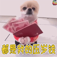 狗狗退后都是我的压岁钱soogifgif动图_动态图_表情包下载_soogif
