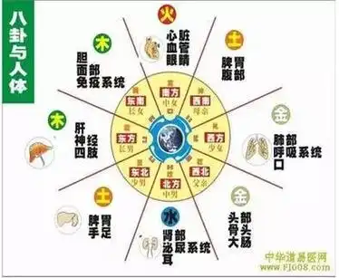 后天八卦图对应脏腑及在临床中的指导作用