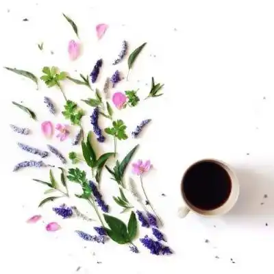 40岁大人用的微信头像花微信头像40岁女专用花