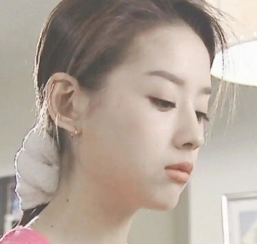 董洁旧照!她这个鼻子是真给这张脸争气,添色不少啊!