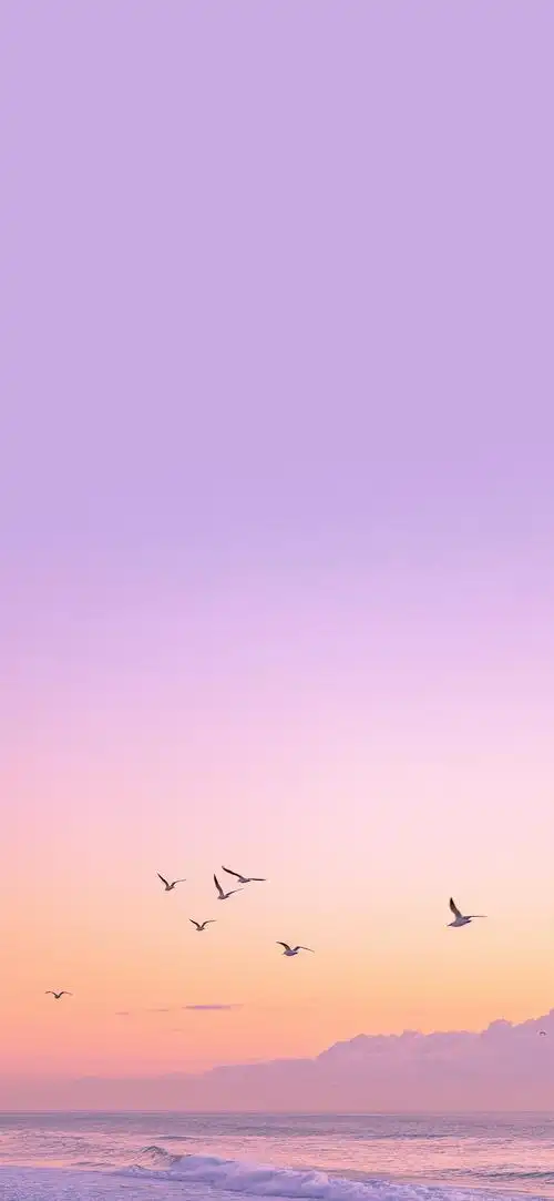 壁纸～新的锁屏壁纸 - 华为mate系列华为mate30系列 花粉俱乐部