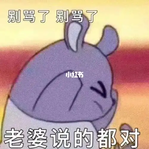 关于情侣表情包巴库老婆奴来啦166666