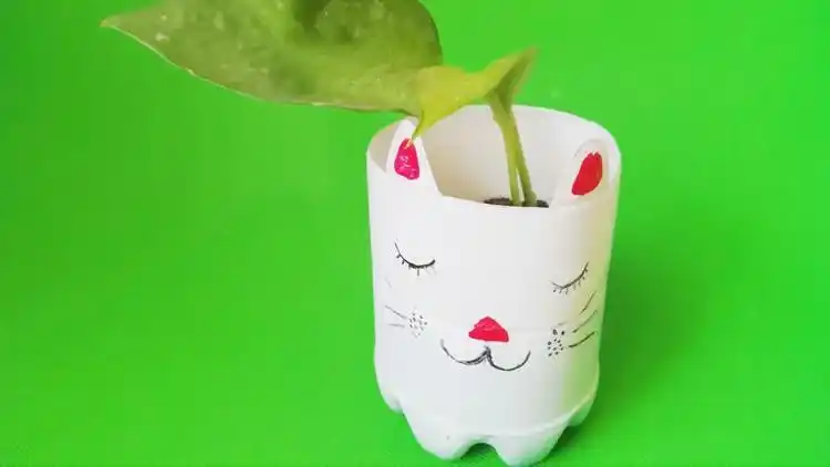 用塑料瓶子改造一个漂亮的"小花盘",创意diy手工生活小妙招!