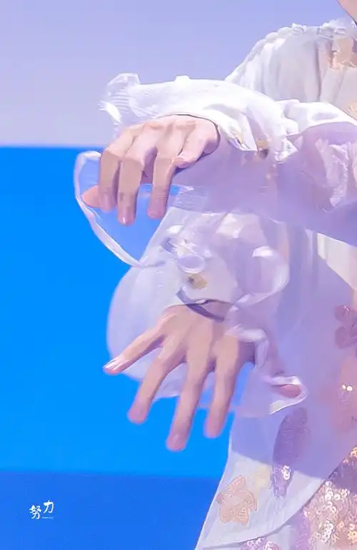 #贺峻霖 梦蝶破笼##贺峻霖 令人心动的offer5#