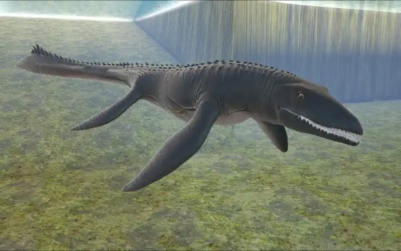 霍夫曼沧龙 vs 各路生物