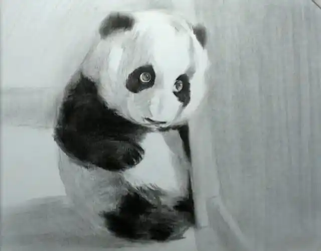 素描小动物素描小动物简单画法