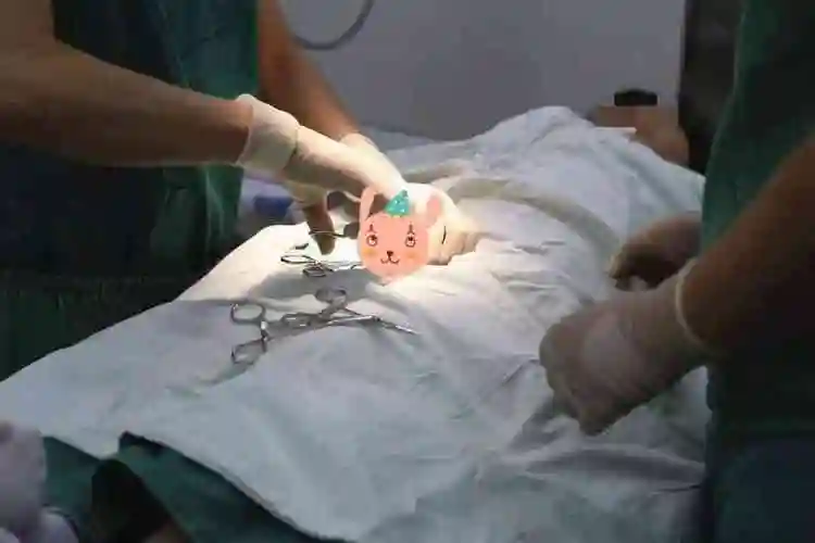 为什么很多家长都说后悔给儿子割包茎了