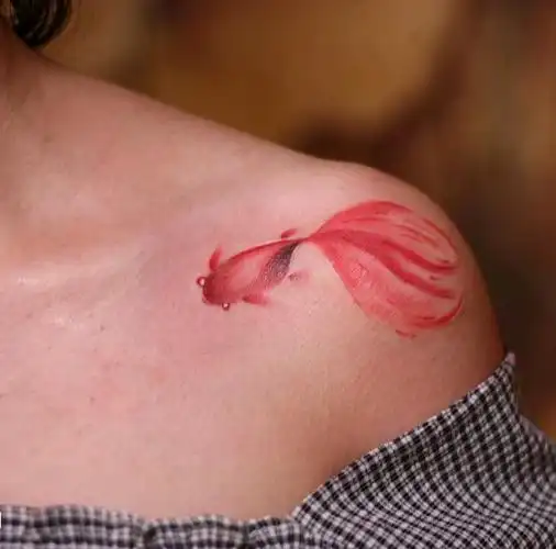 肩部小金鱼_纹身图案手稿图片_唐黄的纹身作品集