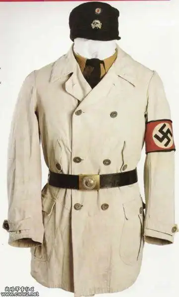 纳粹德国有一种军官服是只有一个肩章的,是什么兵种.