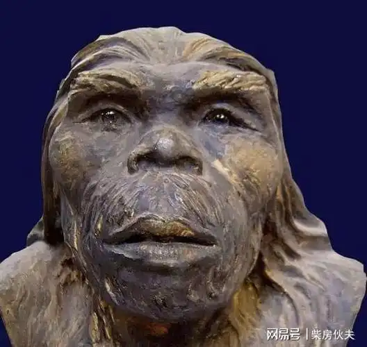 远古文明——原始人的智慧与进化!跟现代原始部落的区别|石器时代|旧