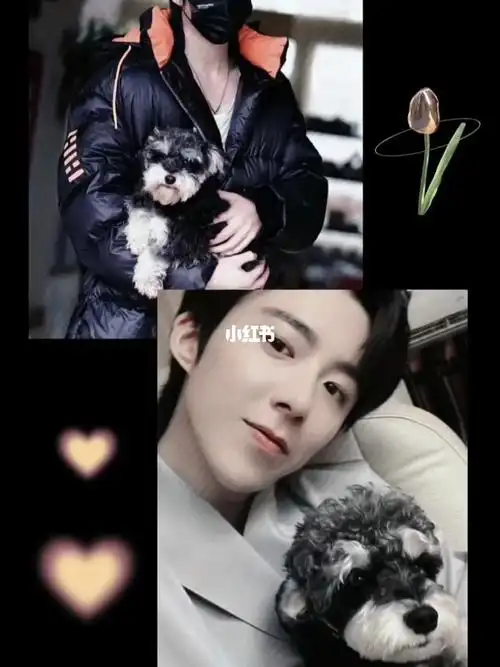 摩登兄弟刘宇宁  #向全世界安利刘宇宁  #刘宇宁