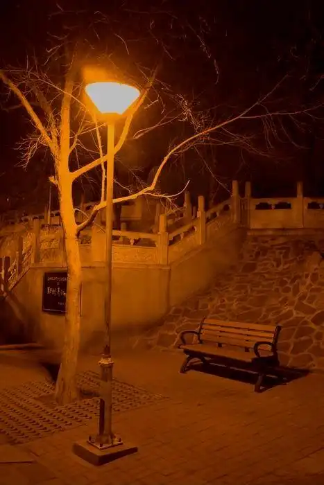 我的银丝我数着你的白发折射二个孤独的影子路灯下的长椅深冬的黄昏