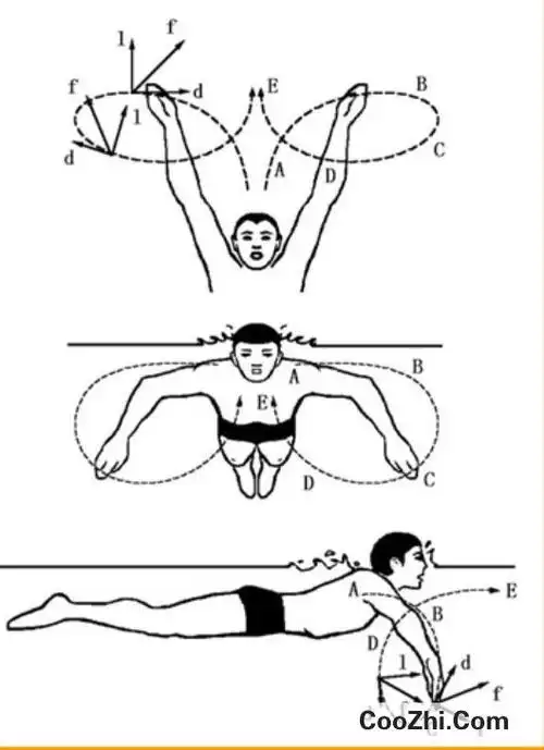 正确蛙泳姿势图解(做错十三年的蛙泳姿势) 1