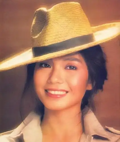 港风复古头像之钟楚红——独家高清系列