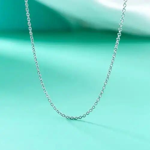 tiffany & co./蒂芙尼铂金项链女锁骨链轻奢情侣礼物21803642