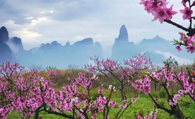 元稹一首冷门桃花诗,写出对亡妻的深情,却成为渣男的又一佐证