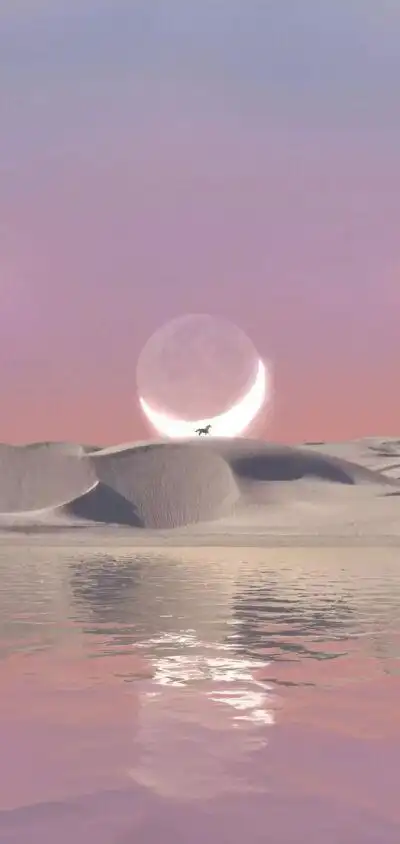 400_844竖版 竖屏