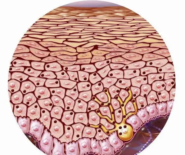 孕晚期分泌物增多是怎么引起的,如何应对?_网易订阅