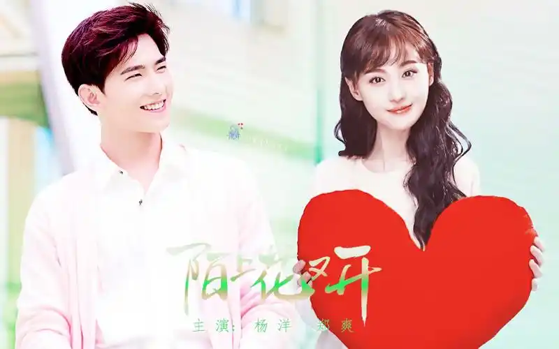 【杨洋郑爽】【花期将至】陌上花又开