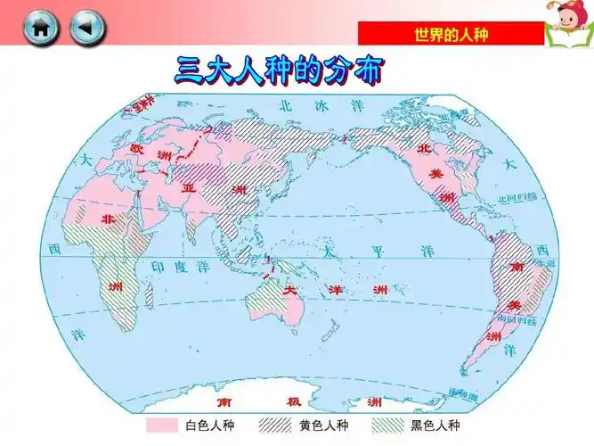 七年级上册地理第二节 世界的人种